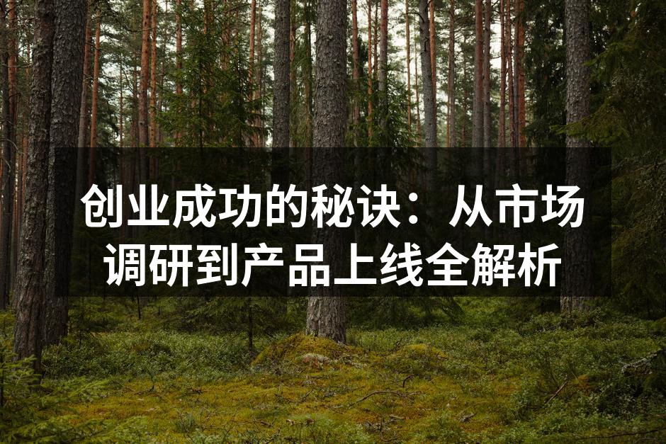 市场调研的关键步骤